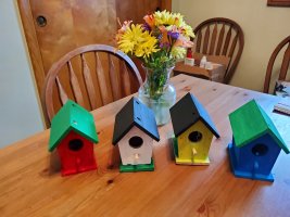 birdhouses 2024.jpg