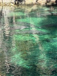IMG_7547.jpeg