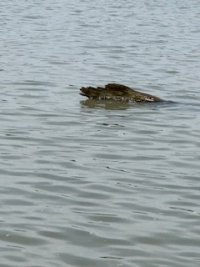 IMG_7672.jpeg