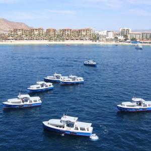 Beach to the East of Cabo