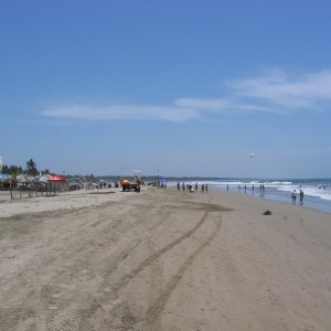 Stone Island Beach to the South