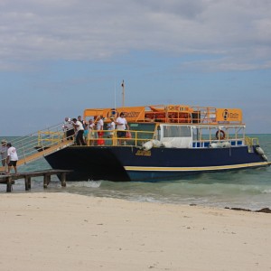 Passion Island, Cozumel