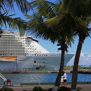 Oasis in Nassau