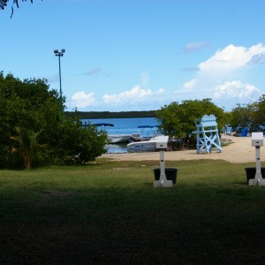 Antigua_2011-02-20_009