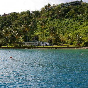 St_Lucia_2011-02-21_14