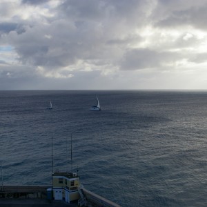 Barbados_2011-02-22_012