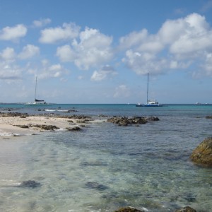 Aruba_2011-03-05_028