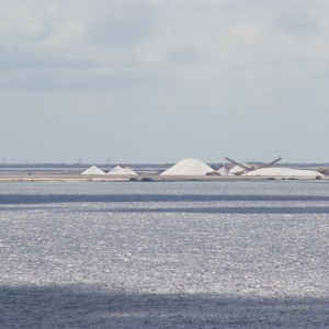 Bonaire_2011-03-04_038