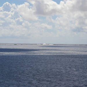 Bonaire_2011-03-04_039