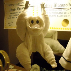 Towel Monkey