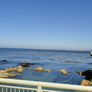 Looking out sitting on the aquarium middle deck.