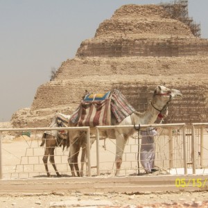 Egypt