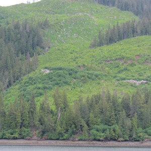 2012_Amsterdam_Alaska_095