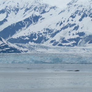 2012_Amsterdam_Alaska_190