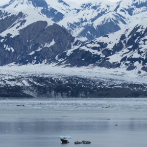 2012_Amsterdam_Alaska_193