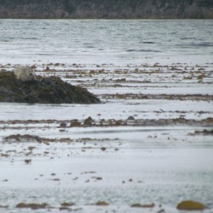 2012_Amsterdam_Alaska_264