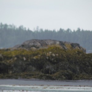 2012_Amsterdam_Alaska_267