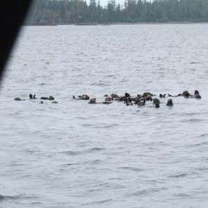 2012_Amsterdam_Alaska_274