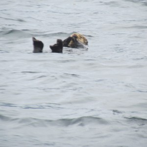 2012_Amsterdam_Alaska_281