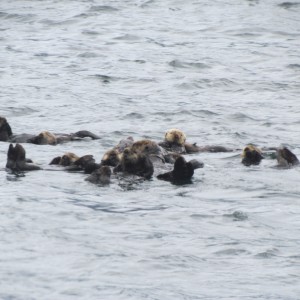 2012_Amsterdam_Alaska_282