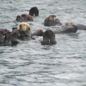 2012_Amsterdam_Alaska_283