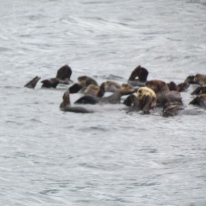 2012_Amsterdam_Alaska_284