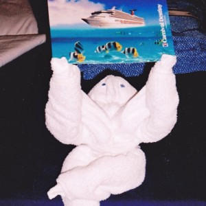 Last Towel Animal