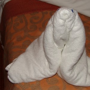 First Towel Animal