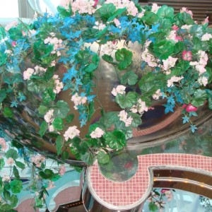 Hanging Flowers at the Splendido Pool