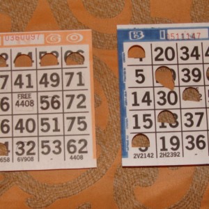 Patti's winning Bingo Cards