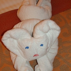 Tonight's Towel Animal