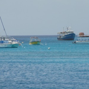 Tour Boats