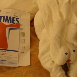 Towel Animal