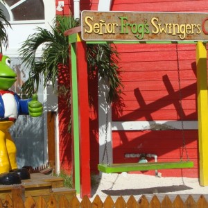 Senor Frog's