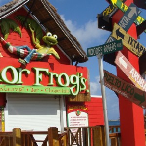 Senor Frog's