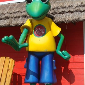 Senor Frog's