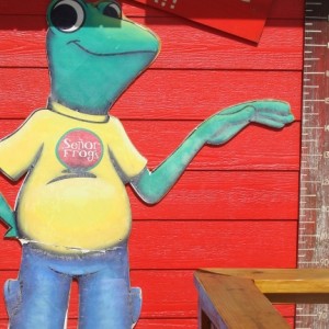 Senor Frog's