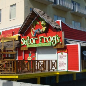 Senor Frog's