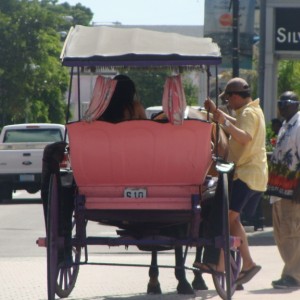 Horse and Carriage