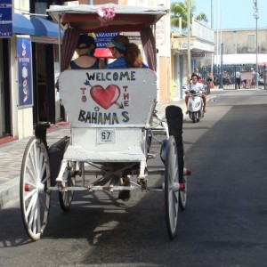 Horse and Carriage