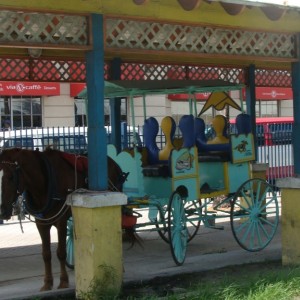 Horse and Carraige station