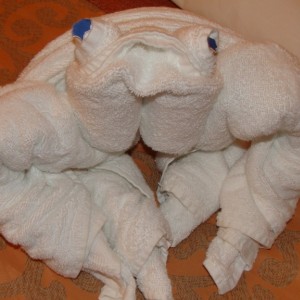 Towel Animal