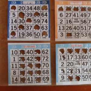 Patti's winning bingo cards