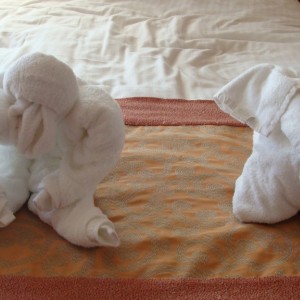 Ryan's towel animals