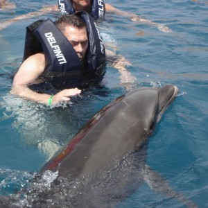 dolphin14