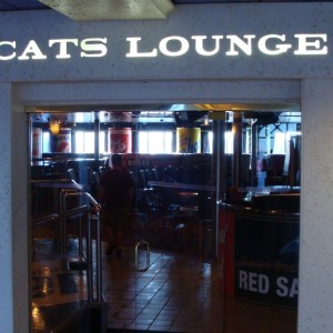 Cat's Lounge