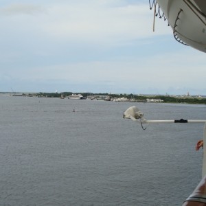 Cruising the St. John River