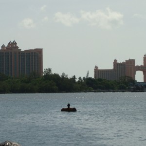 The Atlantis