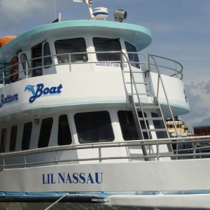 Glass bottom boat tour