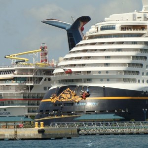 Sterns of the Disney Dream & Fascination